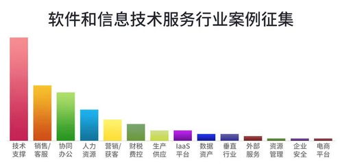 软件和信息技术服务行业最佳案例 卓越信息技术咨询服务的实践与典范